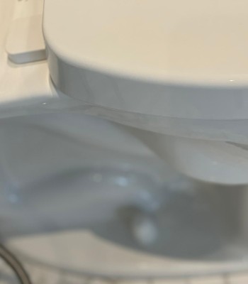 white color english toilet sheet